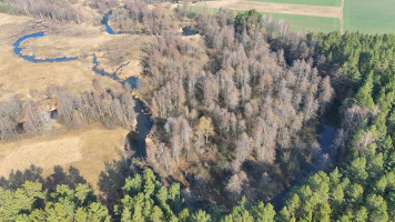Parduodamas  sklypas Čižiūnų k., Varėnos r. sav., 633 a ploto 12