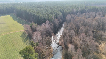 Parduodamas  sklypas Čižiūnų k., Varėnos r. sav., 633 a ploto 16