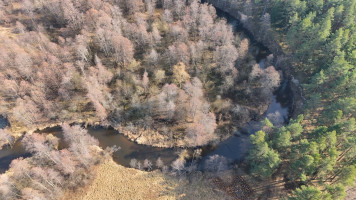 Parduodamas  sklypas Čižiūnų k., Varėnos r. sav., 633 a ploto 21