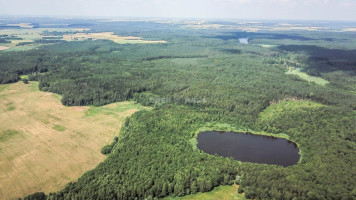 Parduodamas namų valdos paskirties sklypas Lapaikos k., Elektrėnų sav., 680 a ploto 9