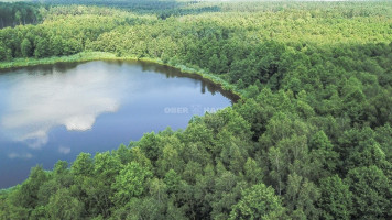 Parduodamas namų valdos paskirties sklypas Lapaikos k., Elektrėnų sav., 680 a ploto 19