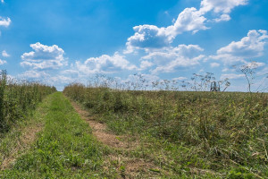 Parduodamas namų valdos paskirties sklypas Lapaikos k., Elektrėnų sav., 680 a ploto 25