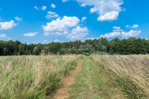 Parduodamas namų valdos paskirties sklypas Lapaikos k., Elektrėnų sav., 680 a ploto 27