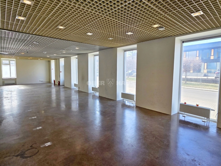 Nuomojamos administracinės patalpos Savanorių pr., Žemieji Paneriai, Vilniaus m., Vilniaus m. sav., 125 m2 ploto 5