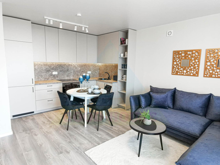 Parduodamas butas Rygos g., Justiniškės, Vilniaus m., Vilniaus m. sav., 45.43 m² ploto 2 kambariai 1