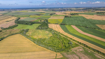 Parduodamas  sklypas Girkalių k., Klaipėdos r. sav., 500 a ploto 12