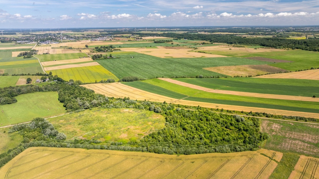 Parduodamas  sklypas Girkalių k., Klaipėdos r. sav., 500 a ploto 13
