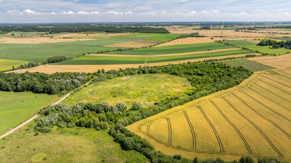 Parduodamas  sklypas Girkalių k., Klaipėdos r. sav., 500 a ploto 15