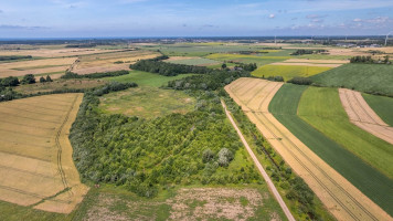 Parduodamas  sklypas Girkalių k., Klaipėdos r. sav., 500 a ploto 20
