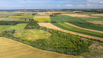 Parduodamas  sklypas Girkalių k., Klaipėdos r. sav., 500 a ploto 22