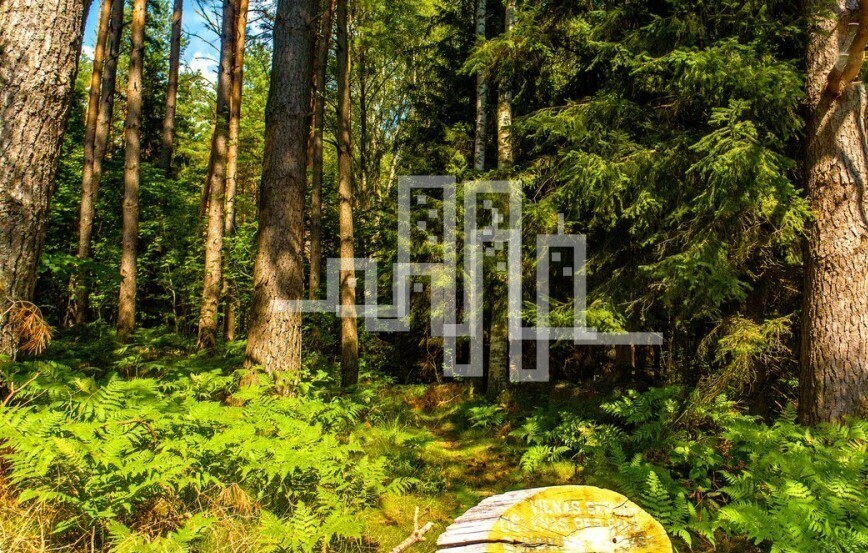 Parduodamas sklypas Liepojos pl., , Palangoje, 20 a ploto 2