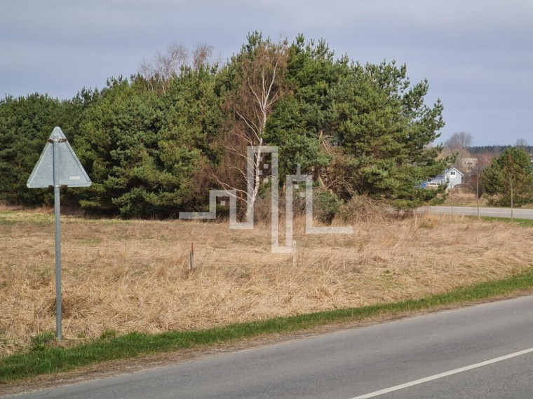 Parduodamas sklypas Žibų g., , Palangoje, 48 a ploto 4