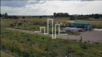 Parduodamas žemės ūkio paskirties sklypas Kurorto g., Palangos m., Palangos m. sav., 89 a ploto 4
