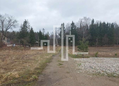 Parduodamas sklypas Pryšmančių k., 92 a ploto