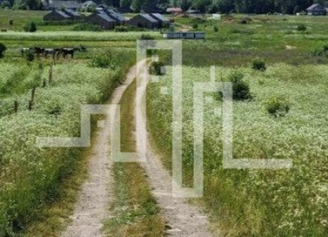 Parduodamas sklypas Kiparisų g., Palangoje, 18.5 a ploto