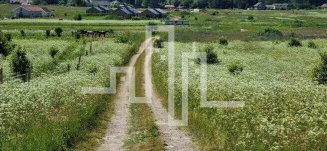 Parduodamas sklypas Kiparisų g., Palangoje, 18.5 a ploto 1