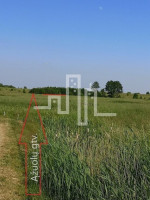 Parduodamas  sklypas Ąžuolų g., Palangos m., Palangos m. sav., 15 a ploto 1