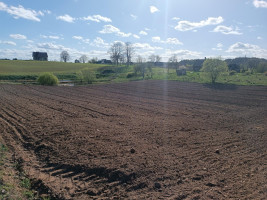 Parduodamas sklypas Grybų g., Mikniškių k., Trakų r. sav., 41.8 a ploto 1