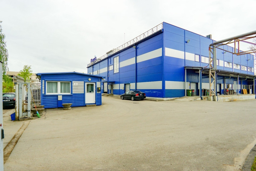 Nuomojamos administracinės, gamybinės, kitos paskirties patalpos Elektronikos g., Skaistakalnis, Panevėžio m., Panevėžio m. sav., 520 m2 ploto 19