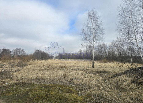 Parduodamas sklypas Žvejonės g., Raizgių k., Šiaulių r. sav., 10.00 a ploto