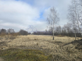 Parduodamas sklypas Žvejonės g., Raizgių k., Šiaulių r. sav., 10.00 a ploto 1