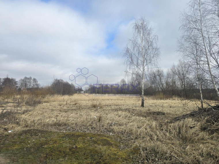Parduodamas sklypas Žvejonės g., Raizgių k., Šiaulių r. sav., 10.00 a ploto 1