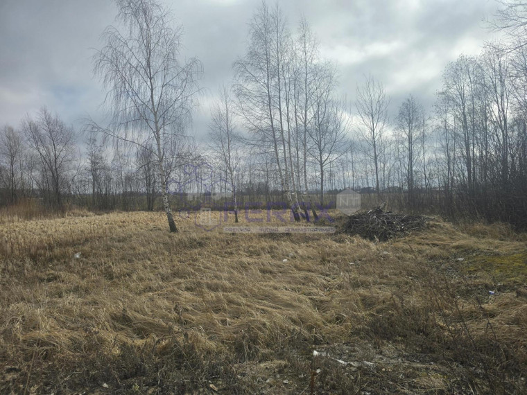 Parduodamas sklypas Žvejonės g., Raizgių k., Šiaulių r. sav., 10.00 a ploto 2