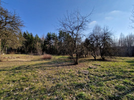 Parduodamas namas Lungelių k., Zarasų r. sav., 75 m2 ploto, 1 aukštai 34
