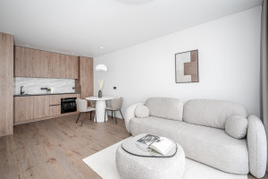 Parduodamas butas Veprių g., Šnipiškės, Vilniaus m., Vilniaus m. sav., 40 m2 ploto, 2 kambariai 3