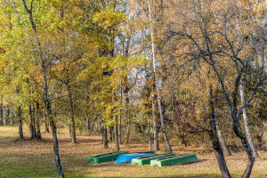 Parduodamas  sklypas Žalvarių k., Molėtų r. sav., 10.47 a ploto 6