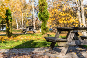 Parduodamas  sklypas Žalvarių k., Molėtų r. sav., 10.47 a ploto 10