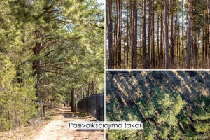 Parduodamas namas Norkų g., Aukštieji Paneriai, Vilniaus m., Vilniaus m. sav., 149 m2 ploto, 2 aukštai 7