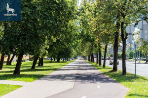 Parduodamos administracinės, gamybinės patalpos Žirmūnų g., Žirmūnai, Vilniaus m., Vilniaus m. sav., 38.45 m2 ploto 18