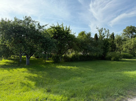 Parduodamas namas Panevėžio g., Pušaloto mstl., Pasvalio r. sav., 98.72 m2 ploto, 1 aukštai 23