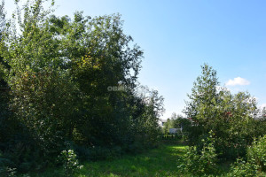Parduodamas namų valdos paskirties sklypas Akmenų g. , Verduliukų k., Šiaulių r. sav., 12.61 a ploto 10