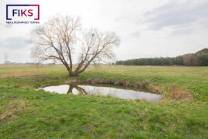 Parduodamas namas Ilgoji g., Liciškėnų k., Prienų r. sav., 103 m² ploto 4 kambariai 14