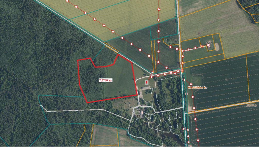 Parduodamas sklypas Burbiškio k., Radviliškio r. sav., 757.00 a ploto 8