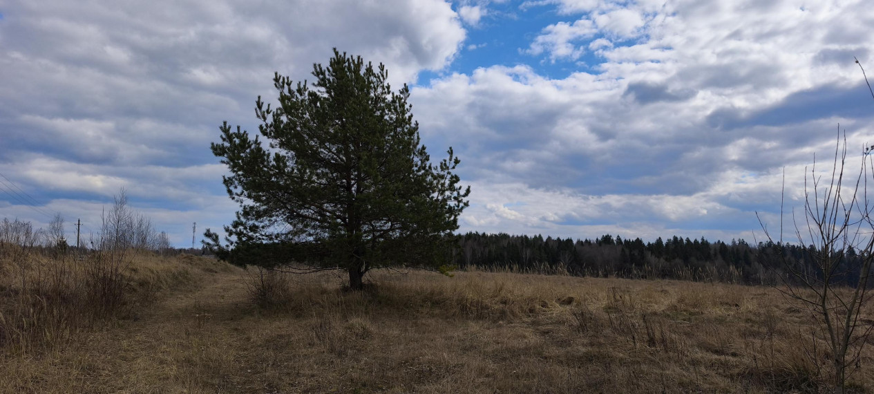 Parduodamas sklypas Šlaito g., Aukštųjų Rusokų k., Vilniaus r. sav., 10.01 a ploto 4