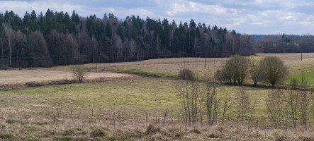 Parduodamas sklypas Šlaito g., Aukštųjų Rusokų vs., Vilniaus r. sav., 10.01 a ploto 12