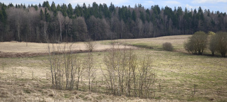 Parduodamas sklypas Šlaito g., Aukštųjų Rusokų vs., Vilniaus r. sav., 10.01 a ploto 15