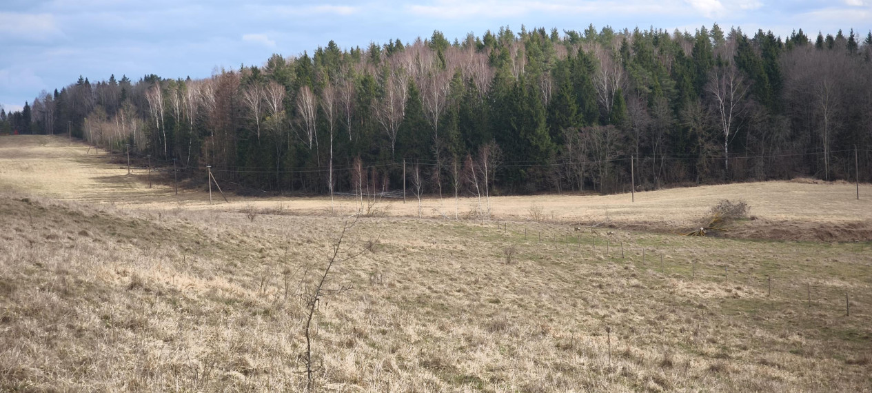 Parduodamas sklypas Šlaito g., Aukštųjų Rusokų k., Vilniaus r. sav., 10.01 a ploto 19