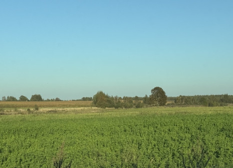 Parduodamas  sklypas Juodalaukio k., Vilniaus r. sav., 440 a ploto