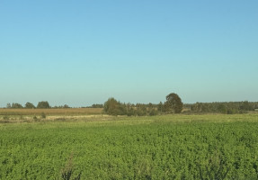 Parduodamas  sklypas Juodalaukio k., Vilniaus r. sav., 440 a ploto 1