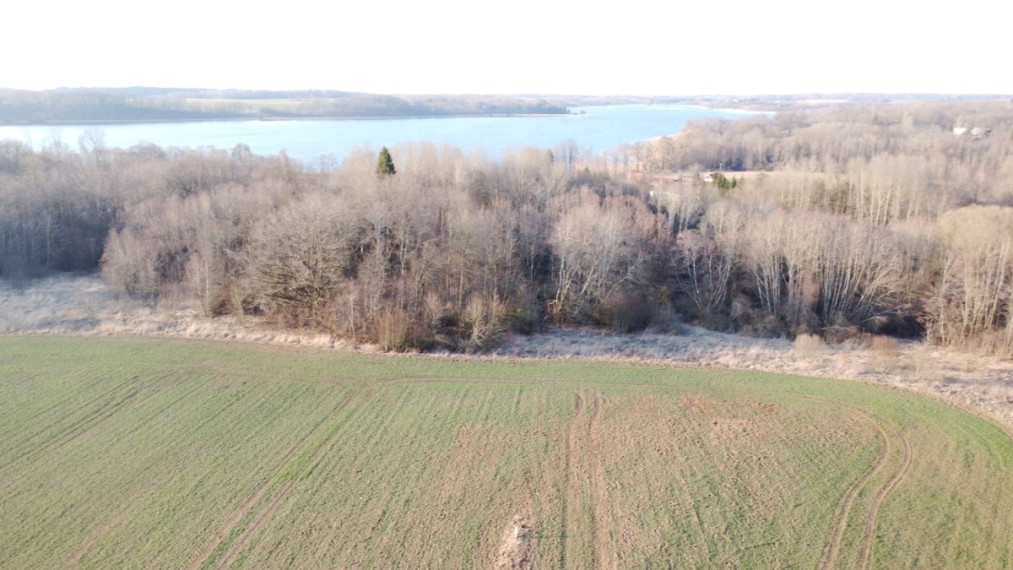 Parduodamas  sklypas Širvintų r. sav., Špokiškio k., Ežero, 440 a ploto 4