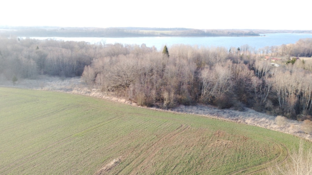 Parduodamas  sklypas Širvintų r. sav., Špokiškio k., Ežero, 440 a ploto 6