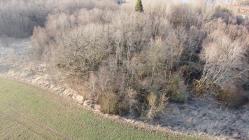 Parduodamas  sklypas Širvintų r. sav., Špokiškio k., Ežero, 440 a ploto 7