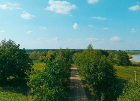 Parduodamas  sklypas Čižikų k., Alytaus r. sav., 70 a ploto