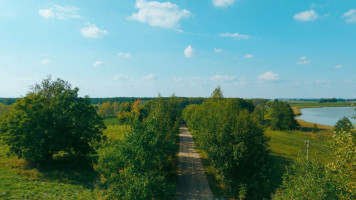 Parduodamas  sklypas Čižikų k., Alytaus r. sav., 70 a ploto 1