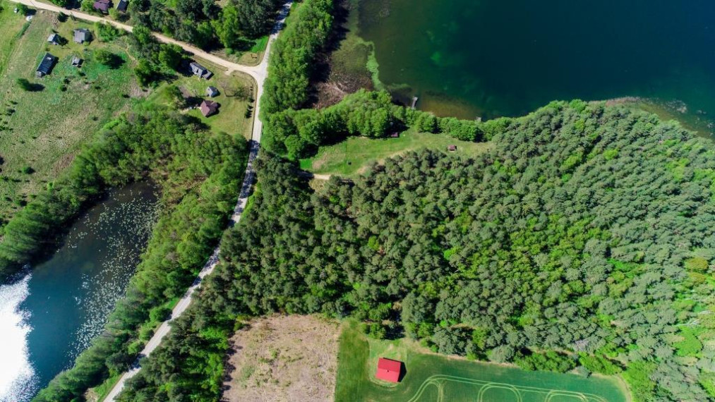 Parduodamas kitos paskirties sklypas Beržinių k., Lazdijų r. sav., 1208 a ploto 4