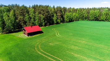 Parduodamas kitos paskirties sklypas Beržinių k., Lazdijų r. sav., 1208 a ploto 11